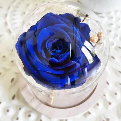 Cloche En Verre Et Roses éternelle La Belle Terrarium