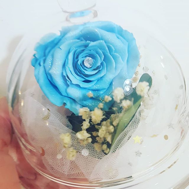 Cloche La Reine Des Neiges Rose éternelle Bleu Cadeau