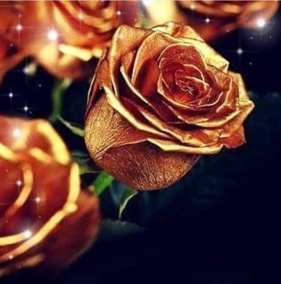 Couronne Dorée Et Fleur Rose En Paillettes Rondes Sur Fond Rose